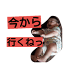 颯人くんすきすきスタンプ（個別スタンプ：31）
