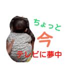颯人くんすきすきスタンプ（個別スタンプ：40）