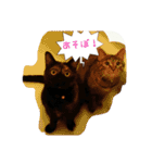 mon,jijiko＆Luna（個別スタンプ：7）
