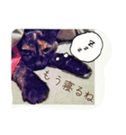 mon,jijiko＆Luna（個別スタンプ：11）