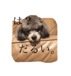Mr.Ralph ＆Mr.Pocky（個別スタンプ：2）