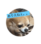みーちゃん第2弾（個別スタンプ：1）