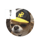 みーちゃん第2弾（個別スタンプ：4）