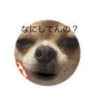 みーちゃん第2弾（個別スタンプ：7）