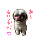 ぷりんときなこのスタンプ（個別スタンプ：7）