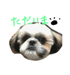 ぷりんときなこのスタンプ（個別スタンプ：28）