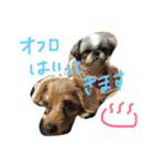 ぷりんときなこのスタンプ（個別スタンプ：33）