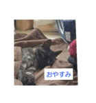 ねこのがんも（個別スタンプ：8）