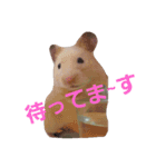 Hamster's Mr. Risu（個別スタンプ：4）