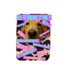 S a y（個別スタンプ：2）