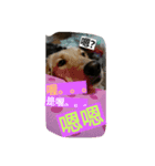 S a y（個別スタンプ：3）