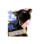 S a y（個別スタンプ：4）