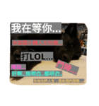 S a y（個別スタンプ：6）