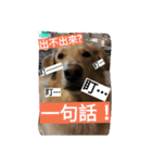 S a y（個別スタンプ：7）