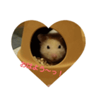Hamster of my house（個別スタンプ：7）