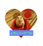 Hamster of my house（個別スタンプ：8）