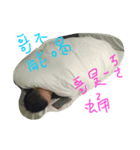 gume（個別スタンプ：1）