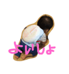 ひろみくん第二弾です。（個別スタンプ：19）