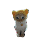 my cat su（個別スタンプ：2）