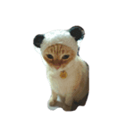 my cat su（個別スタンプ：3）