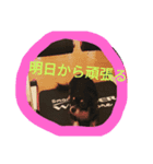 チワワスタンプ♡（個別スタンプ：7）