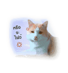 KAK KAK (2（個別スタンプ：7）