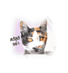 KAK KAK (2（個別スタンプ：9）