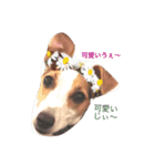 Kerry russel（個別スタンプ：3）