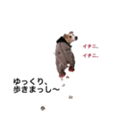 Kerry russel（個別スタンプ：6）