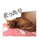 睦ちゃん生活日記スタンプ（個別スタンプ：17）
