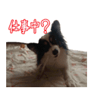 睦ちゃん生活日記スタンプ（個別スタンプ：18）