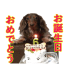 睦ちゃん生活日記スタンプ（個別スタンプ：28）