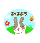 うさぎのハリーくん（個別スタンプ：1）