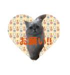 るなちゃーん（個別スタンプ：4）