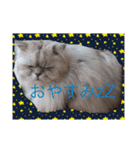 るなちゃーん（個別スタンプ：5）