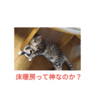 猫のメル3（個別スタンプ：6）