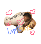 愛犬てぃだです。（個別スタンプ：2）