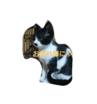 子猫のアモちゃん（個別スタンプ：2）