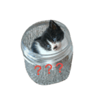 子猫のアモちゃん（個別スタンプ：15）