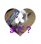 こはくさんスタンプ（個別スタンプ：6）
