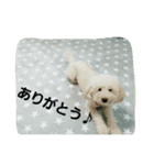 こーちゃんとレオ（個別スタンプ：6）