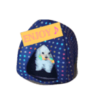 Coco goo（個別スタンプ：1）
