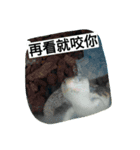 Animals Attack（個別スタンプ：1）