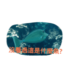 Animals Attack（個別スタンプ：3）