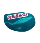 Animals Attack（個別スタンプ：4）