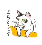 敬意を払う猫（個別スタンプ：2）