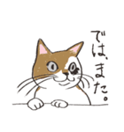 敬意を払う猫（個別スタンプ：7）