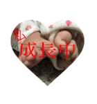 kanon baby（個別スタンプ：7）