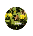 草花と景色（個別スタンプ：3）