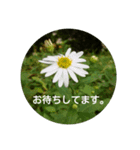 草花と景色（個別スタンプ：6）